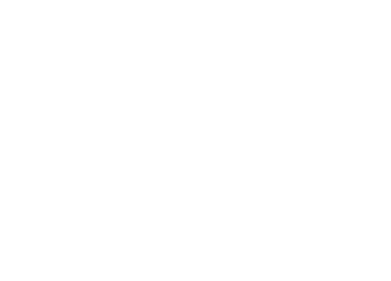 logo-distritoboero-blanco